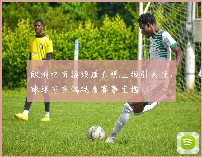 欧洲杯直播频道乐视上线引关注,球迷可多端观看赛事直播