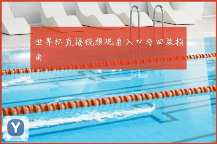世界杯直播视频观看入口与回放指南